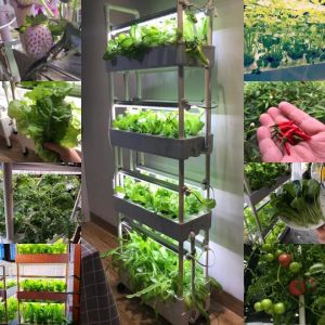 Горшки, 4 слоя, 56 отверстий, вертикальная полная система выращивания гидропоники, домашний садовый кашпо со светодиодной подсветкой для клубники, овощей