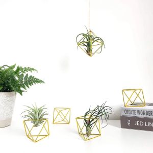 Vazolar 5pcs Modern Metal Geometrik Hava Tesisi Tutucu Minimalist Terrarium Ekici Askı Ekran Stand Raf Masa Tabanı Ev Dekor