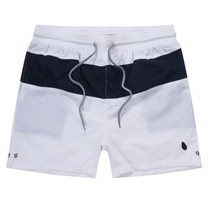 Shorts masculinos designer verão nadar shorts cavalo bordado respirável praia curto polo secagem rápida surf malha tecido curto M-2XL