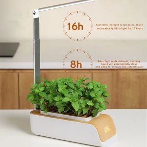 Kitler Akıllı Sebze Otomatik Hidroponik Büyüyen Sistem LED Grow Işık Ev Mutfağı