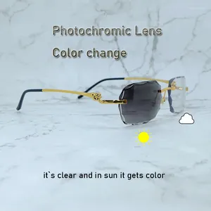Солнцезащитные очки Pochemic, линзы, меняющие цвет, ромбовидная огранка, два цвета, 4 сезона, очки, винтажные трендовые очки, очки