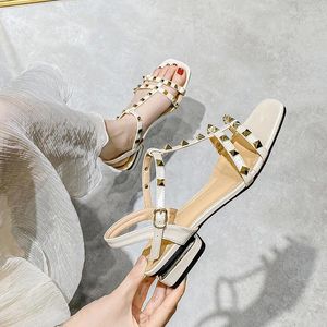 Sıradan Ayakkabı 2024 Yaz 3cm Düşük Topuk Kadın Perçinler Sandalet İnce Şerit Moda Koreli Tasarım Kızlar Büyük Boyut Aşım Terlik Kadın