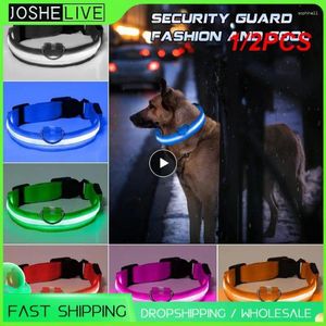 Köpek yakaları 1/2pcs naylon pet yakası usb şarj edilebilir LED güvenlik aydınlatma kayış boynu yanıp sönen kayış küçük büyük