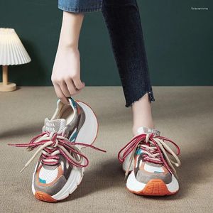 Sıradan Ayakkabı Krasovki 7.5cm Süet Pigskin Deri İçi Boş Yaz Bahar Karışık Renk Ayak Bileği Botları Düz ​​Nefes Alabilir Kadınlar tıknaz Sneaker