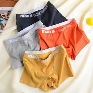 UNDUPTS MEN BOXERS MISTRE MEN PAYT SOĞU RENK PANTALARI Rahat Seksi Nefes Alabası Moda Boys Panties iç çamaşırı S-XL