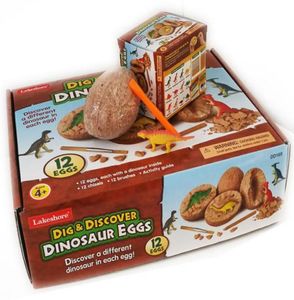 Dig Discover Dino Egg Egging Kit Kit Уникальный динозавр яйца пасхальная археология подарки подарки Dinosaur Partys Favors для детей 12 MO4580057