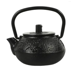 Yemek takımı setleri çaydanlık dekor Japon demir döküm seti kahve Çin pot soba tetsubinloose küçük kaynar