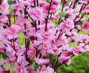 Bahçe Partisi Dekorasyon Düğün Süslemeleri Doğal Büyük Yapay Kumaş Kiraz Çiçeği İpek Çiçekler Partisi 5 Renk1367433