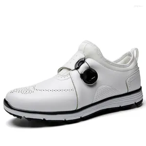 Sıradan Ayakkabı 2024 Golf Erkek Deri Su Geçirmez Spor Ayakkabıları Nefes Alabilir Eğitim Profesyonel Çiviler Slip Olmayan Boyut 40-45