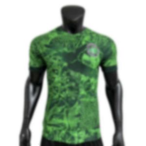 Футбольные майки мужские спортивные костюмы 2024 Нигерия Home Jersey, версия игрока, матч -джерси может быть напечатана с футбольным номером