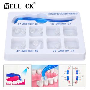 Kalemler Wellck Dental Ortodontik Posterior Diş estetik Baskı Kiti Baskı Restorasyon Dişleri Hızlı Yapılı Diş Hekimliği Araçları Malzeme