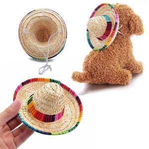 Köpek giyim 1pc mini evcil köpekler Meksika Hasır Şapka Sombrero Kedi Güneş Renkli Hawaii Aksesuarlar Plaj Kostüm Şapkaları Partisi X0R0