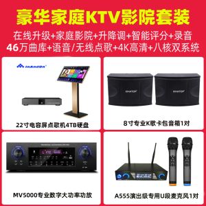 Игрок Inandon 22 -дюймовый караоке -машины семейство KTV Set Set Builtin 4TB HDD Полный набор с микрофоном и динамиками усилителя