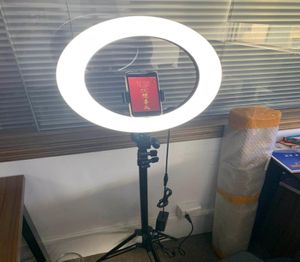 10 inç YouTube Makyaj Videosu Canlı Çekim LED Canlı Akış Selfie Light ile Tripod Stand Ringlight Video Ppgraphy Circle Tikok9340297