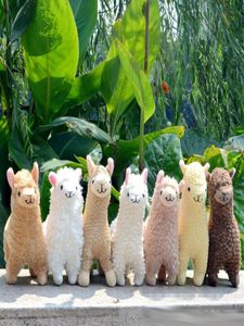 Alpaca Lovely 23cm Llama White Plush Toy Bambole Polcato Animali Bambole Animali Sheep Giappone Soft Alpacasso per bambini compleanno Christma1670123