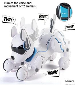 ElectricRc Hayvanlar RC Uzaktan Kumanda Robot Köpek Oyuncakları Dokunmatik Fonksiyon ve Sesli Akıllı Dansla Hayvanlar Mini Pet Program5095351