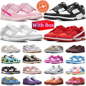 SB Dunk Outdoor Shoes Low Chunky Dunky Coast Court Purple Frame Orange Skate Habibi Parra Syracuse Kentucky men women Dunks sneakers