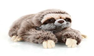 35 см премиум -класса Three That Sloth Real Life Плюшевые игрушечные животные мягкие плюшевые ленивые тварители детские подарки в кукол Q07273324756