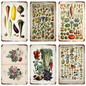 Sebze Bitkileri Retro Poster Meyveleri Vintage Metal Teneke İşaret Karnabahar Duvar Sanat Sign Bahçe Mutfak Çiftliği Dekoru Çiçekler Tabağı