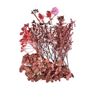 Doğal kuru çiçekler preslenmiş DIY kuru otlar bitkiler mum silikon kalıp epoksi reçine kolye aromaterapi yapımı için reçine dekor