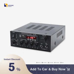 Усилитель усилителя Audio Power Professional Mini 2 -канал HI FI Audio Stereo Amplifier для пения караоке