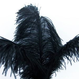Оптовые черные перья страуса 15-75 см 6-30-дюймовые карнавальные вечеринки Свадебные украшения натуральные страусы для ремесе