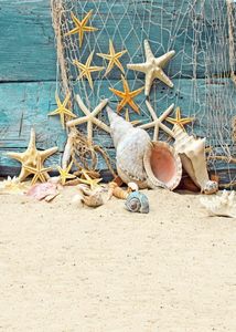 Mocsicka ince vinil yaz deniz plajı yıldızı balık ağ ahşap fotoğraf arka planları çocuklar çocuklar baskılı fotoğrafik zemin s-551