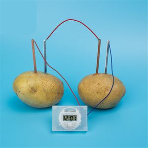 Дети Монтессори игрушечный фруктовый картофель сухой аккумулятор Образовательные научные игрушки для детей Эксперимент по технологиям. Школа обучение СПИД