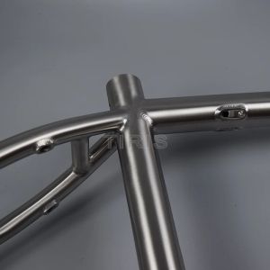 Tiris MT5 Titanium MTB Bike Frame Bicycle Framework 29 Boost 12*148 Frameset Cycling Accessoires Teile Custom