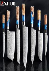 Xituo Kitchen Kinvesset Damascus Steel Vg10 Chef Newaver Cleaver Caring Hread Нож СИНЕ Смола и цветная ручка для приготовления дерева.