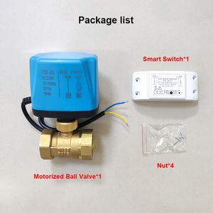 Tuya Wi -Fi Smart Electric Ball Calve Brass Timing Switch Switch Smart Life Control Support Alexa Google Home Motorized Water Valve 220V