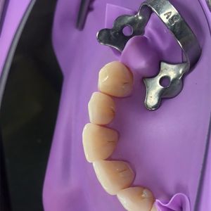 Dental Kauçuk Dam Kelepçeleri B1 B2 B3 B4 B5 B6 Brinker Kelepçesi Anteriorlar ve Köpekler Kelepçeleri Rusya Diş Malzemeleri