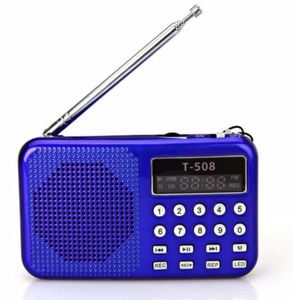 Redamigo Digital FM Radio Micro SDTF USB Disk Mp3 Radio LCD -дисплей Интернет с динамиком T508R7215178