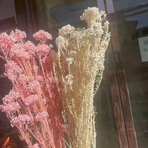 Dekoratif Çiçekler 50g Doğal Darı Meyve Kurutulmuş Yapay Boho Ev Dekoru Düğün Dekorasyonu Bedava Teslimat Noel Gelin Buket