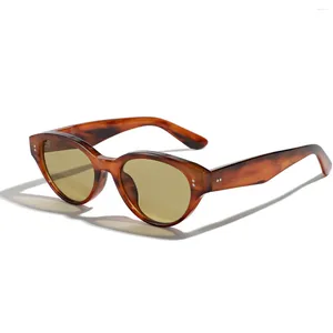 Солнцезащитные очки винтажные маленькие рамки кошачьи глаза для мужчин 2024 модный роскошный дизайнер бренд дизайнер солнце