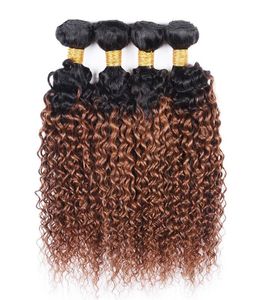 4pcs İnsan Saç Ombre Dokunma Paketler Kinky Kıvırcık Brezilya Bakire Saç T 1B 30 İki Ton Renk Ombre Orta Auburn Saç Uzantısı3823359