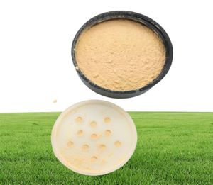 Drop Sell Brand Ben Nye Luxury Powder Pouder de Luxe Banana Loose Powder 3oz85G4503233