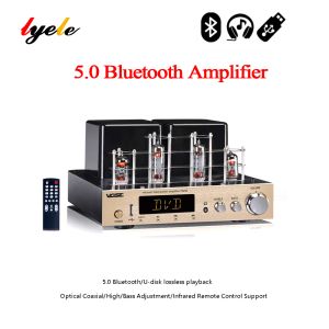 Amplifikatörler Lyele Audio 6F1 Vakum Tüpü Amplifikatör Fiber Koaksiyel Yüksek Güç 80W*2 USB Player Bluetooth 5.0 Bas Tiz Kulaklık Amplifikatörü