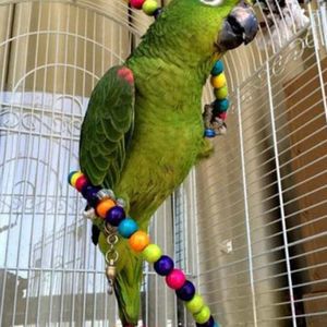 Diğer kuş malzemeleri papağan ısırıkları oyuncak fuuny aşınma dirençli spiral merdiven ahşap boncuklar ev için salıncak