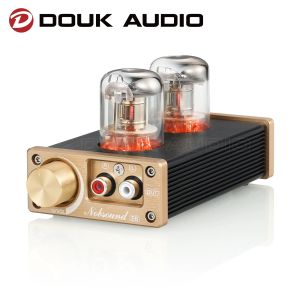 Усилитель Douk Audio E6 Прямой нагретый вакуумный предусилитель класс A Stereo Audio