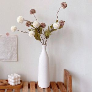 Вазы Nordic INS Style Ceramic и сухой цветочная одежда магазины простые украшения тихий искусство гостиная мягкая украшение