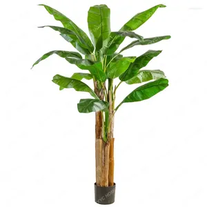 Декоративные цветы моделирование зеленое растение Большое пола банановое дерево