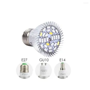 Grow Lights 5W светодиоды Phyto светодиодный гидропонный рост Light E27 E14 GU10 Bulb Полный спектр UV IR Lamp Searnling Fitolamp