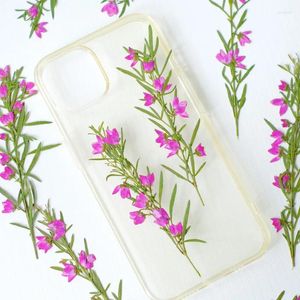 Dekoratif Çiçekler 5-12cm/12 PCS Gerçek Preslenmiş Çiçek Şubeleri DIY Bookmark Telefon Kılıfı Çıkartılı Yaprak Malzeme Bitki Örnek Damla Gül