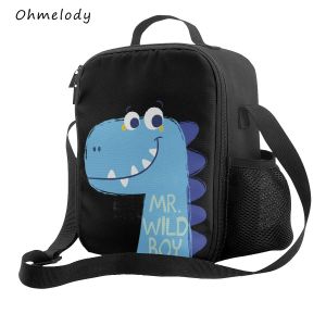 Çantalar Dino Boys For Boys School Crossbody Soğutucu Çantalar Açık Kamp Pikniği için En İyi Yenili Sıcak Öğle Yemeği Kutusu