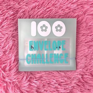Сумки 100 Envelope Challenge Binder Pare Pare Challenge Event Блощики для сберегательной папки.