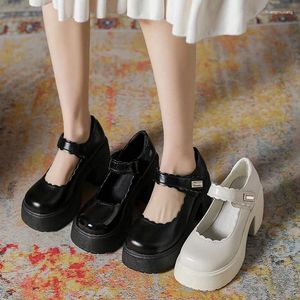 Sapatos casuais 2024 feminino Mary Jane Vintage High Heel Japaneses Style Student Plataforma Meninas Lolita Ladies Party bombas