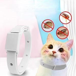 Collar zecca anti -Flea per gatto piccolo cane antiparasitico 8 mesi di protezione regolabile collare per gattini da cucciolo accessori per animali domestici in fuga
