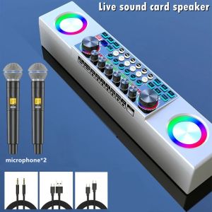 Hoparlörler SY6 Canlı Ses Kartı Hoparlör Ekipmanı Cep Telefon Bilgisayar Özel Bluetooth Hoparlör Taşınabilir Ev KTV Çift Mikrofon Şarkı
