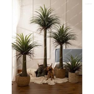 Simulazione di fiori decorativi Dracaena pianta finti alberi bionici bonsai verde bonsai decorazione da soggiorno interno paesaggio
